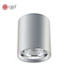 ip65 dimmable downlight